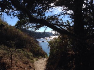 Point Lobos Thanksgiving Day, 2014