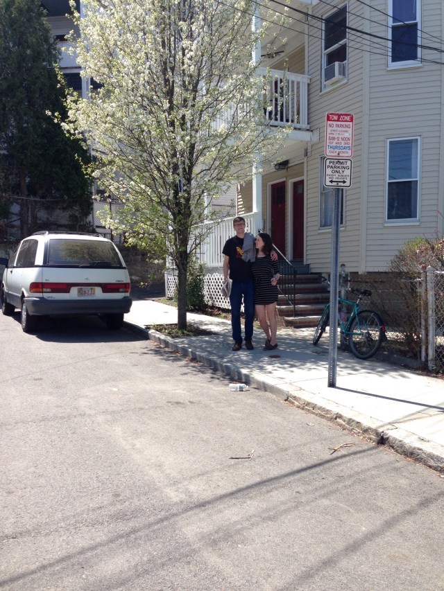 Somerville - spring blossoms on steroids