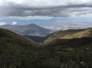 Rucu Pichincha - the paramo