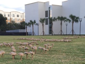 Mushrooms by the Performing Arts Center