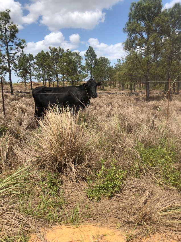 48B7895E-AAD7-4964-9E08-5A4F72789C39