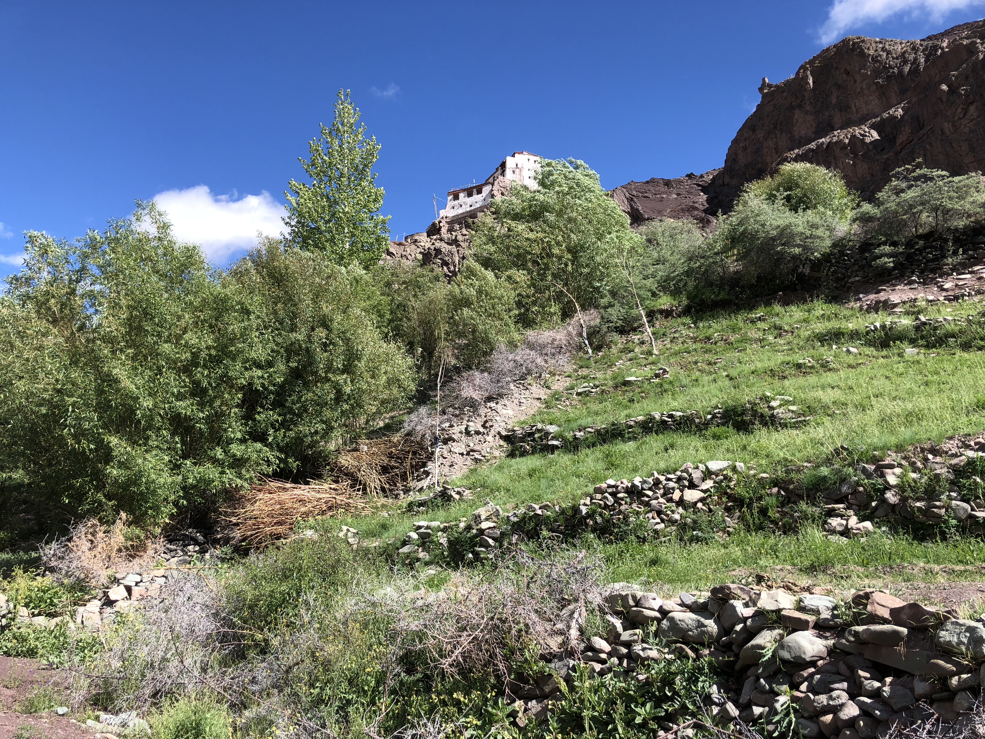 08C8971F-6D75-43BC-B0EB-55CB4E1FFC6A