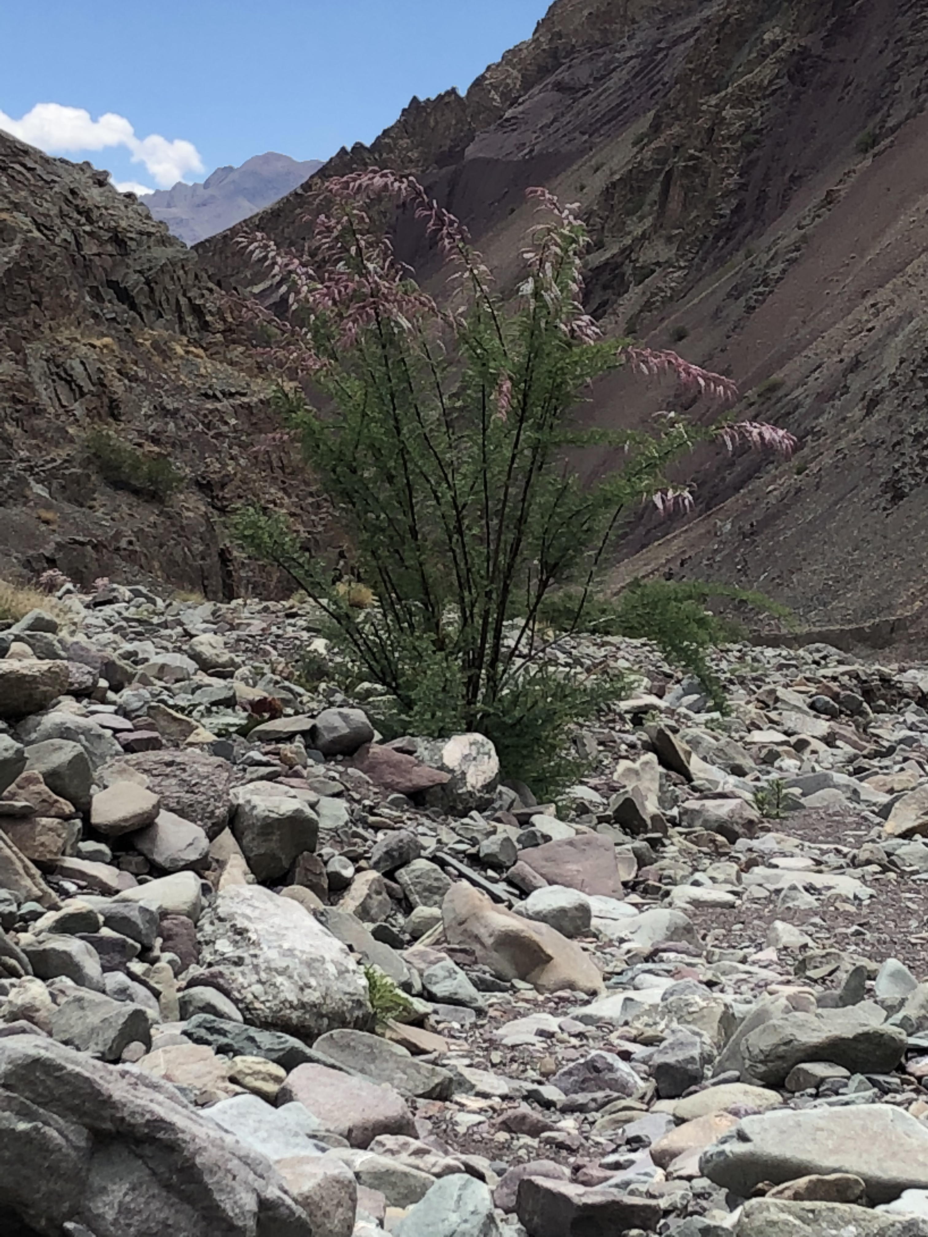 B3BC386C-5860-4E6F-86FF-689E0BD6E8E6